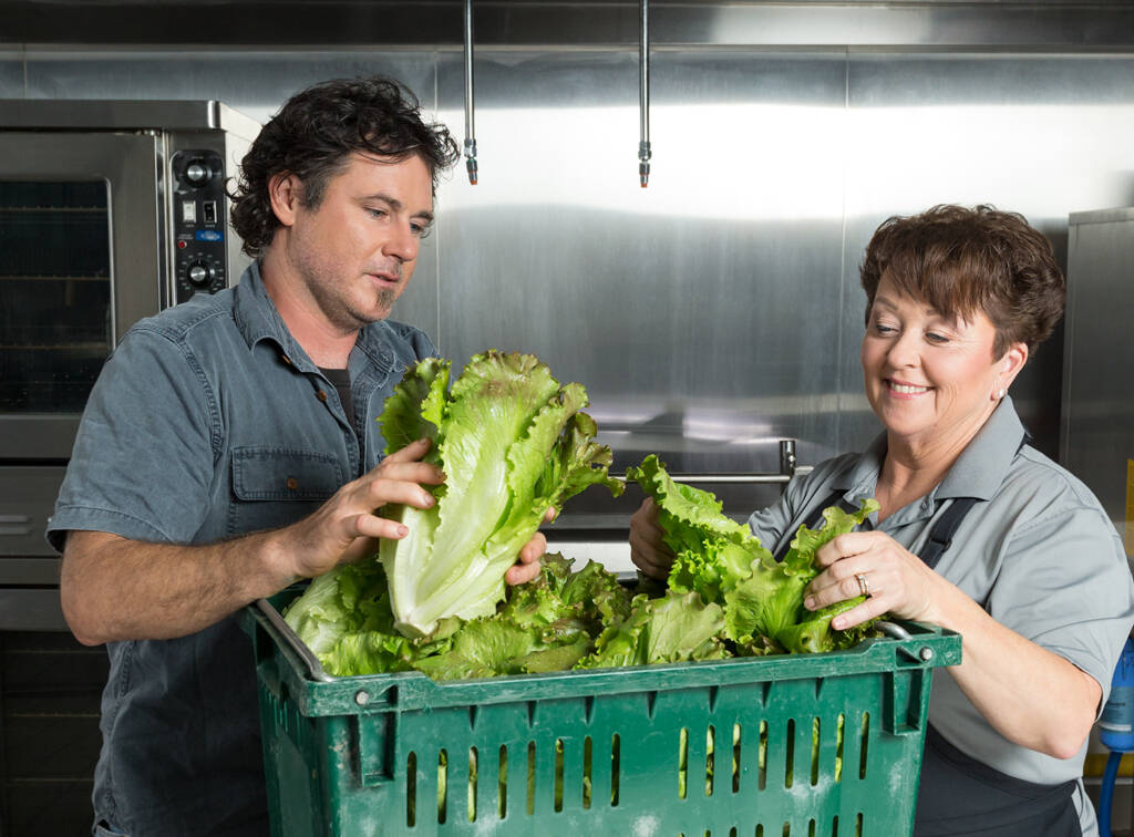 Inspecting lettuce in a kitchen