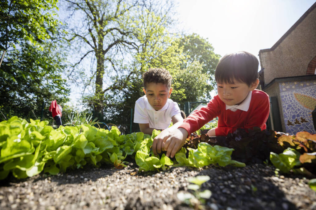 Children tending to a garden