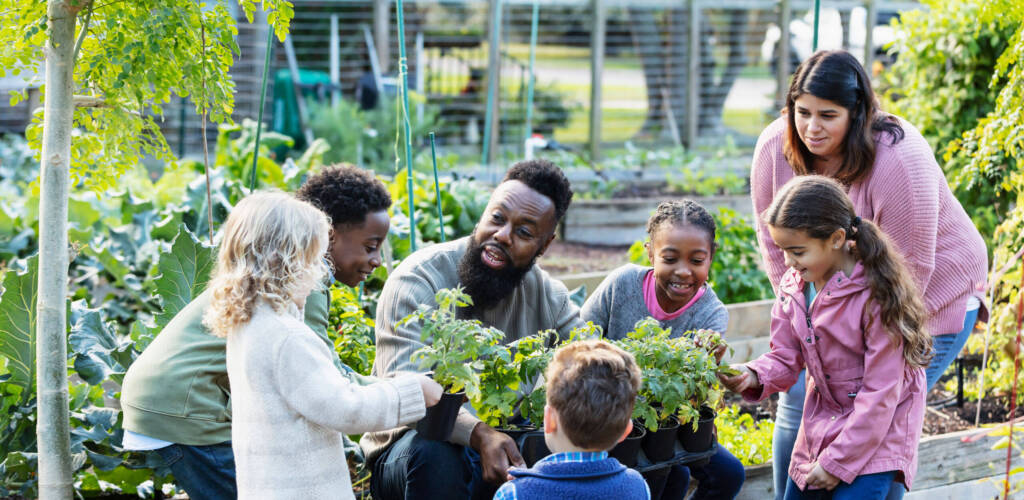 Teacher explaining plants in a garden to a group of students